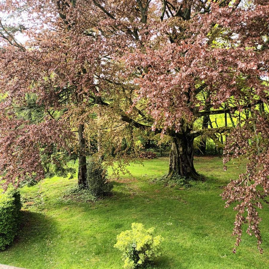 Baincthun Petit Manoir De La Berthenlaire Bed & Breakfast エクステリア 写真