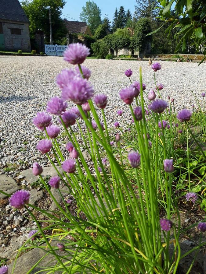 Baincthun Petit Manoir De La Berthenlaire Bed & Breakfast エクステリア 写真