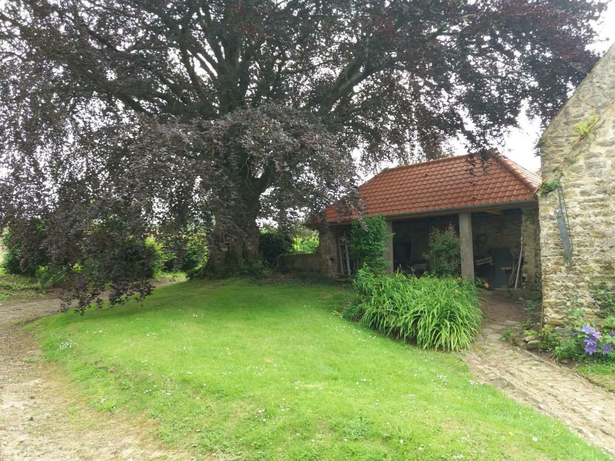 Baincthun Petit Manoir De La Berthenlaire Bed & Breakfast エクステリア 写真